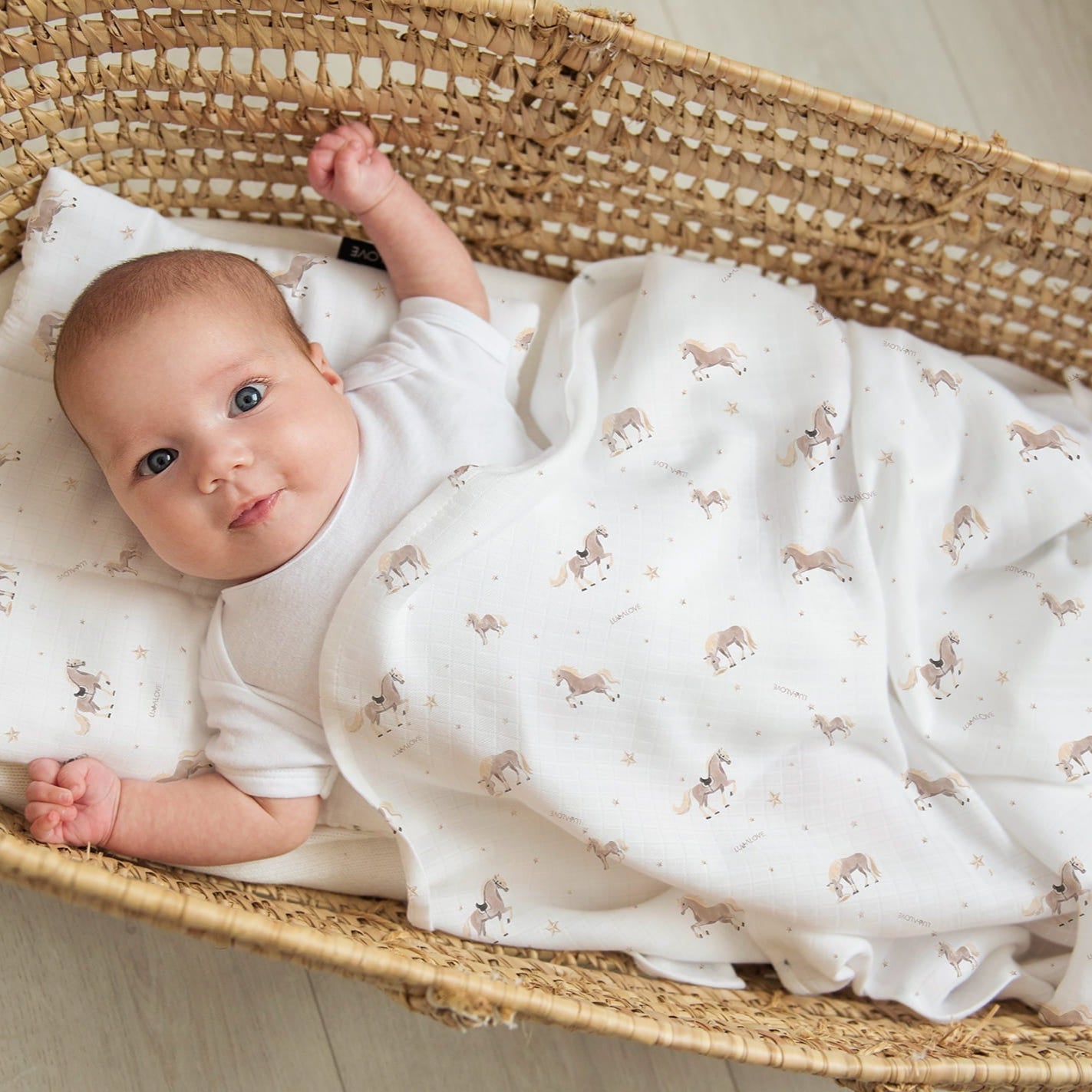 19e80e155ea330aae04cc64b9a50479a