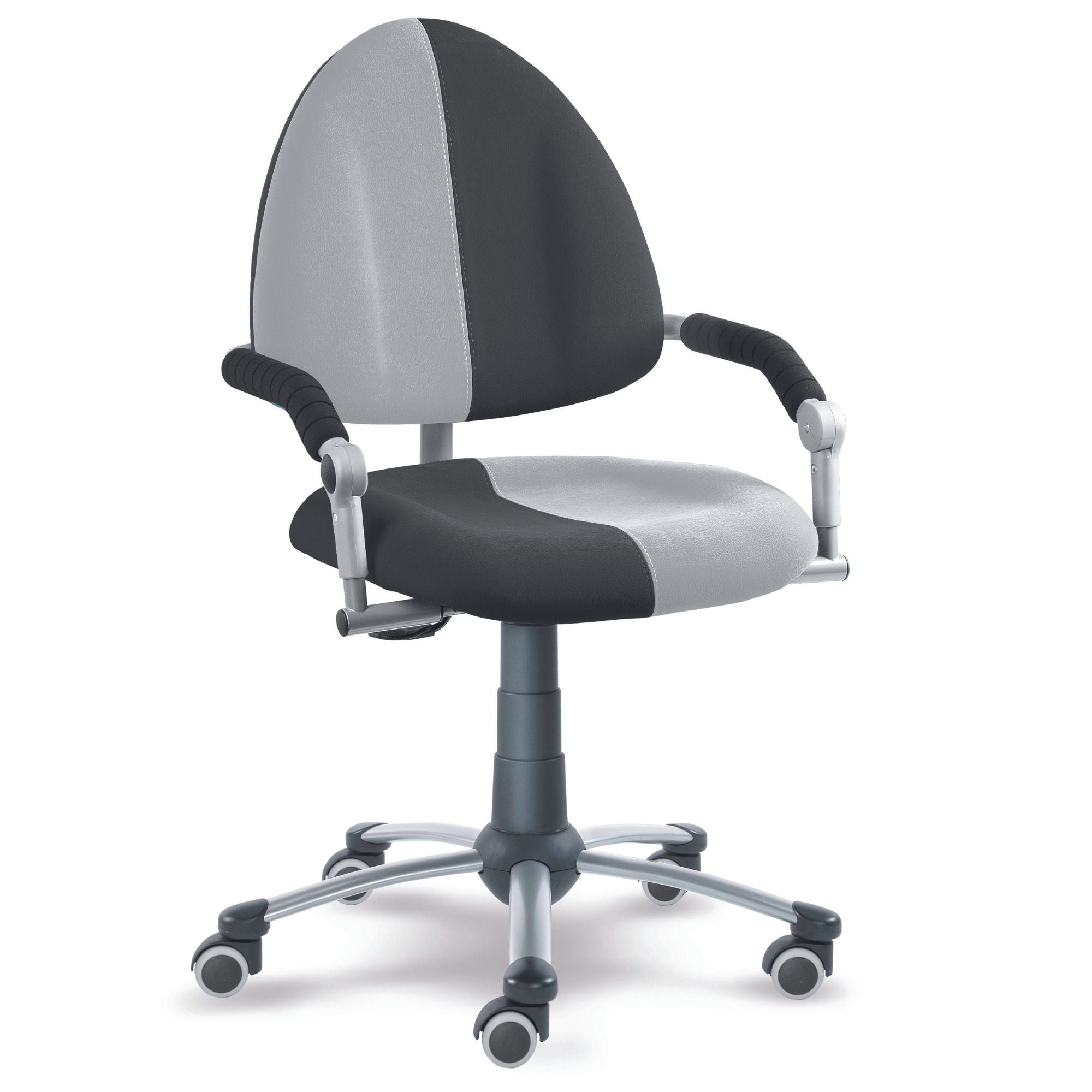Bild i diabild