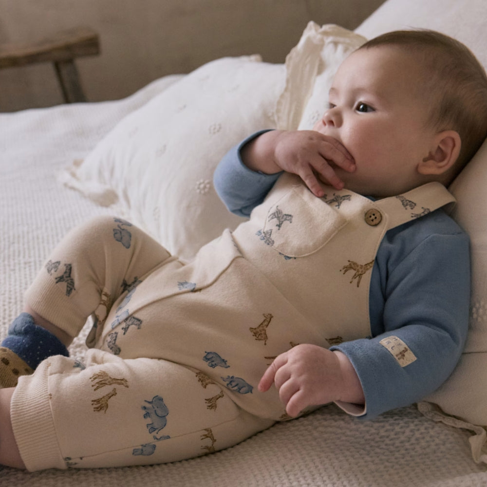 ab38afba9393688876f162e084b138ed