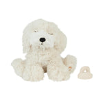 004d902da301784820314261c18d8237