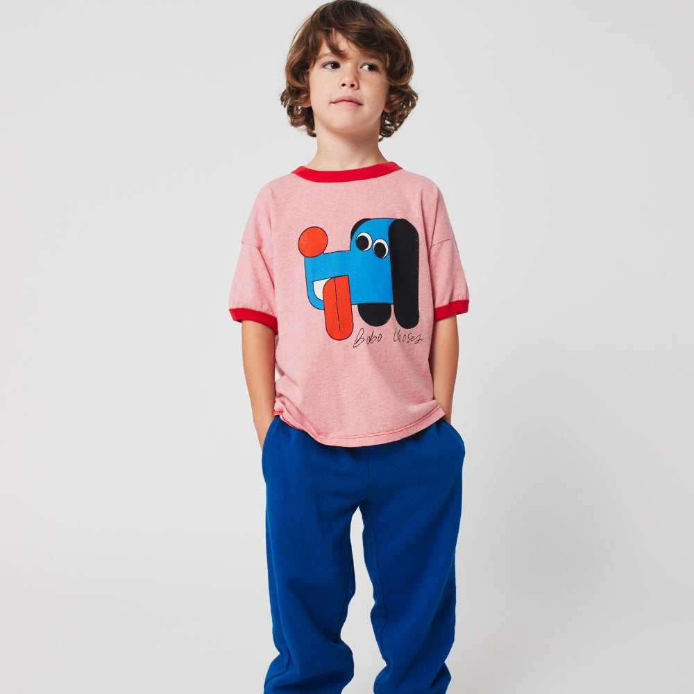 385164e97512f301fa26075d2ab93c2f