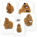 067da8485feb0fad3b9a9fd85bb9df14