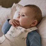 c8db39a071416cf91bb448332c983080