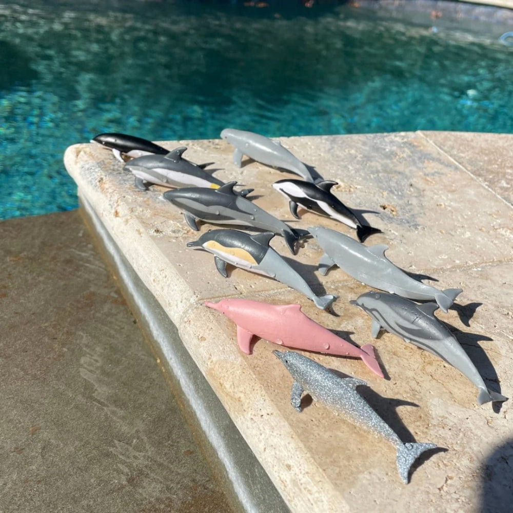 c670421fede9be6a4ac835535ba261dd