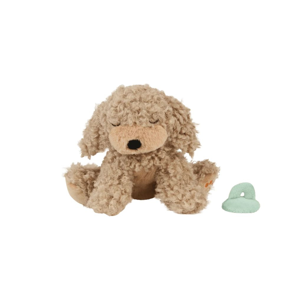 3897cf54952e6e822b187add78a58b2e