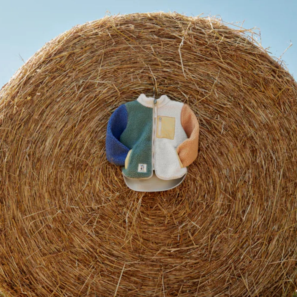 492c024467a33413b3d1ab8a4137a75b