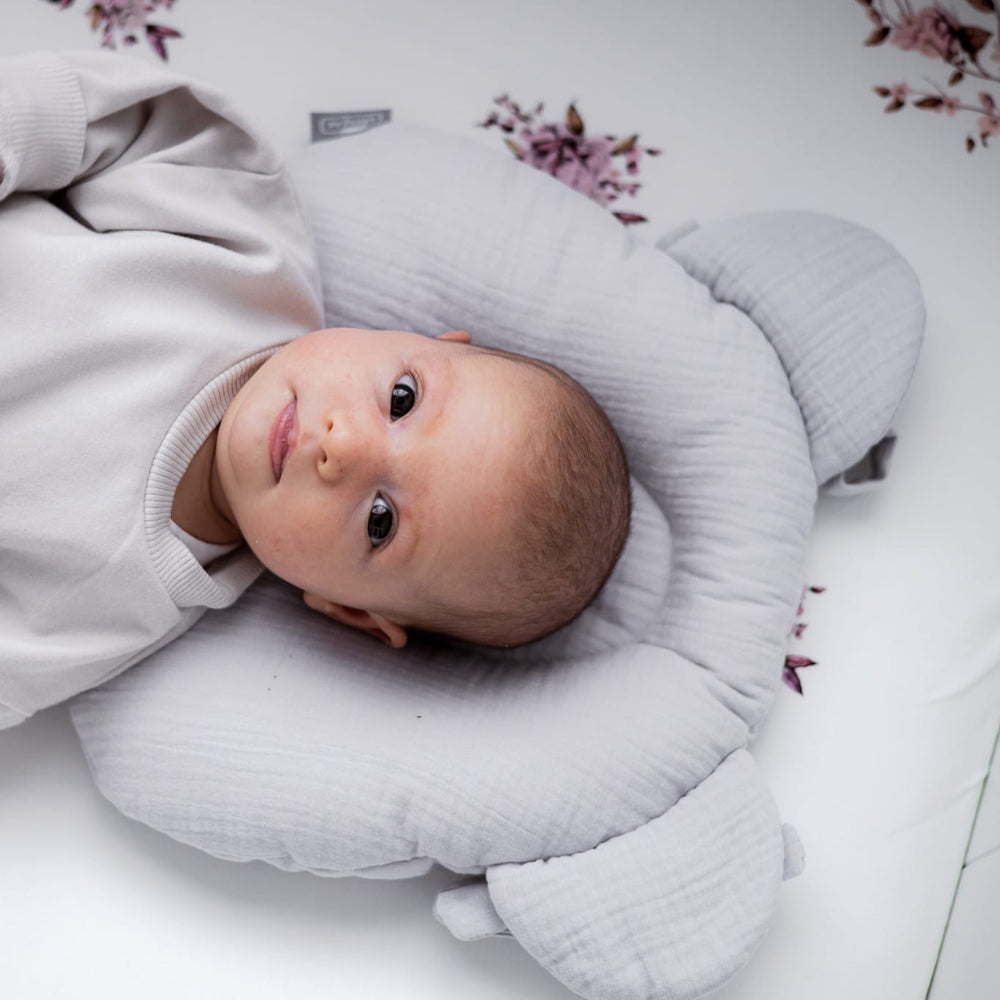 c593c84d4be10a3b54df8d94d17ac5bf