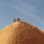 d9ae3c74831aad83dac721f7ad9a863a