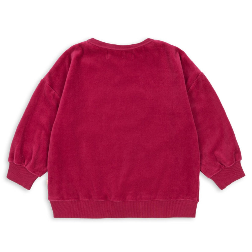 c28c2f844c76995d8ad4a025228ccede