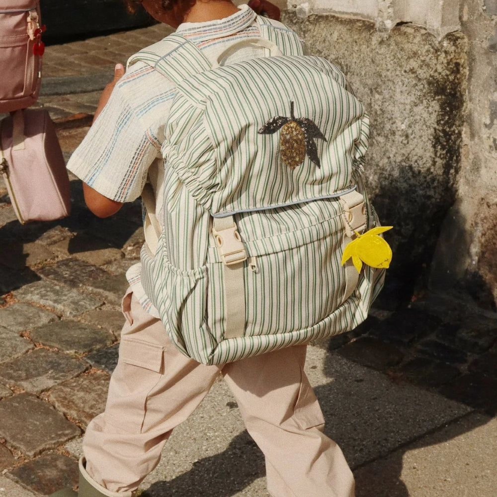 4335c77a9722aac96ce8cf402fbd085b