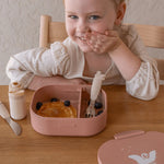 7b6ad95d24d0db4e9a1c47c5b1b48e0c