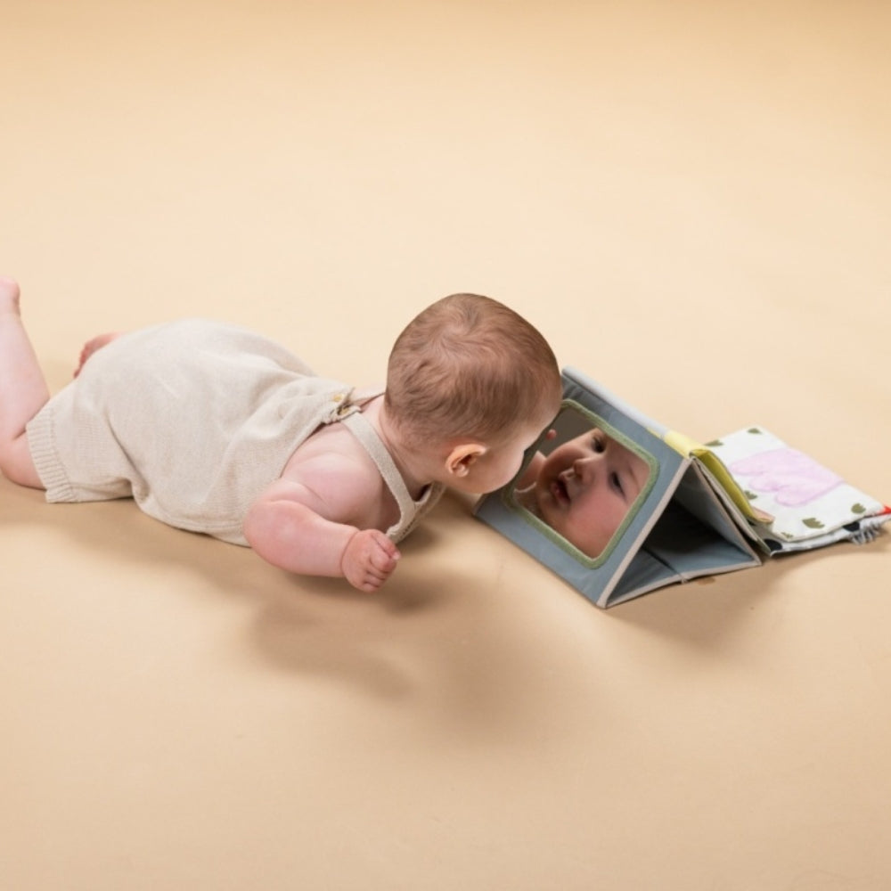 4b553362fa4c9b86f79632f6709c0495