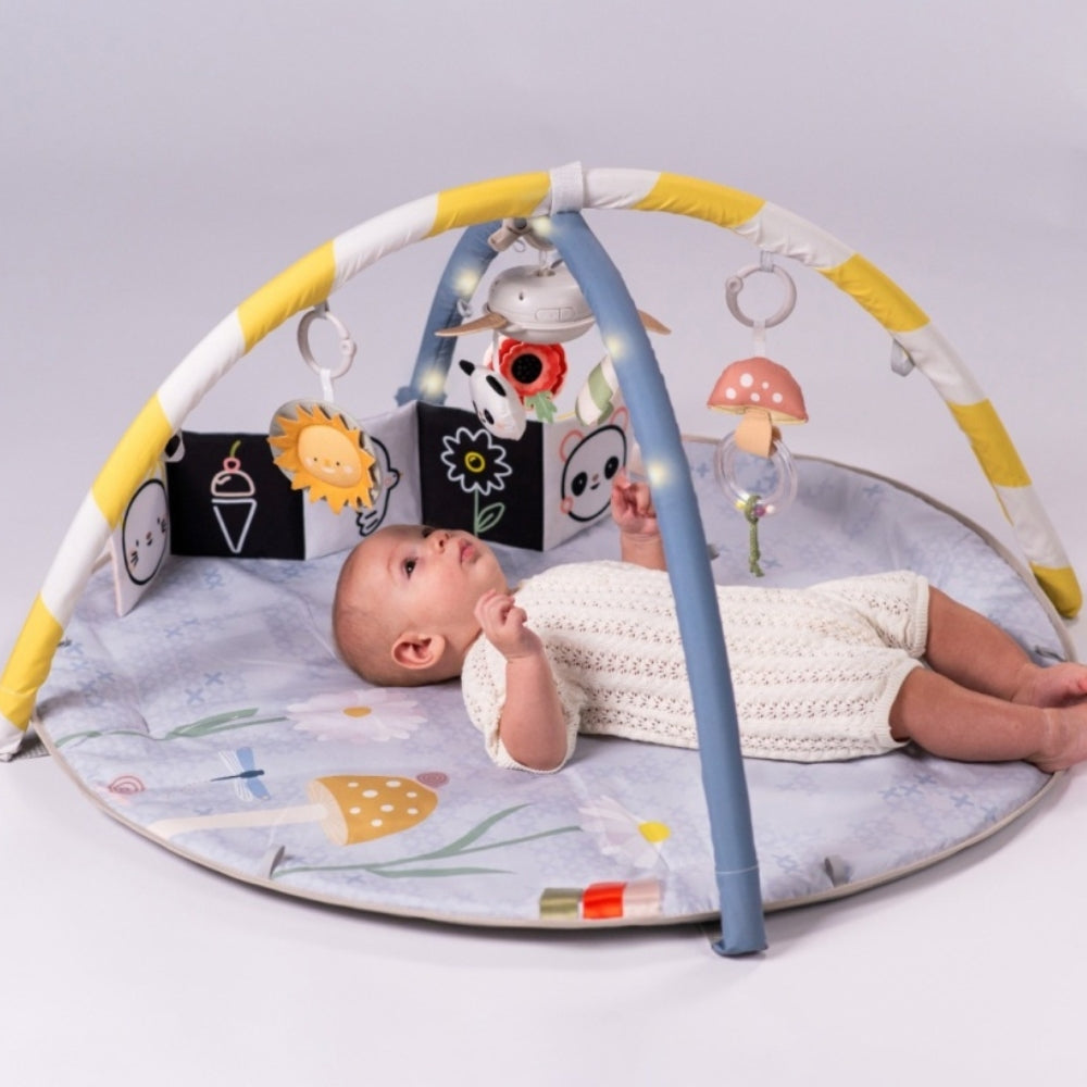 76567fe94e6a91bcf63129d337b07a61