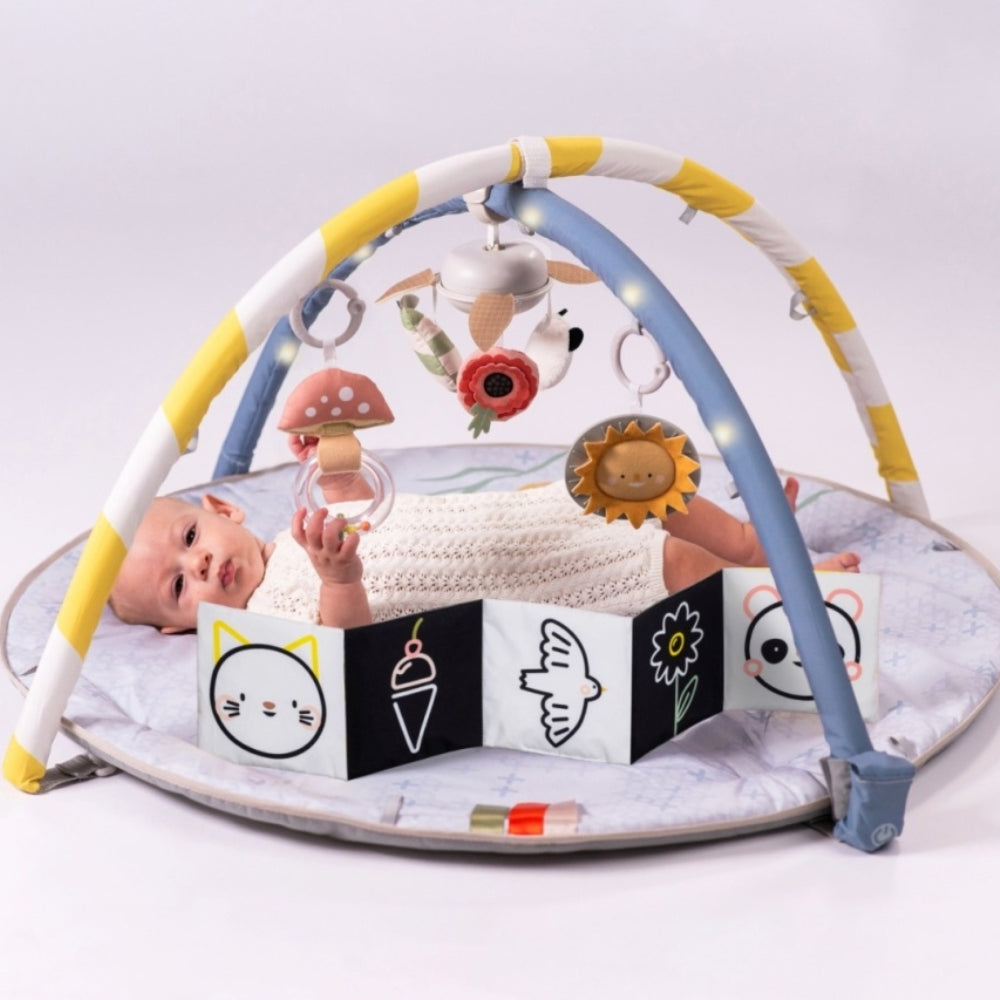 a4644d91065a0b44f29d839fb4208996