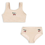 35d1f3ff96fd620ce773d5b77804a07c