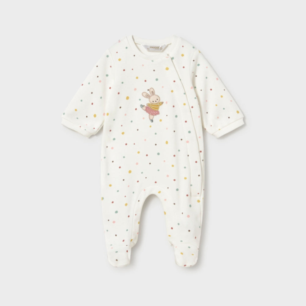 Bild i diabild