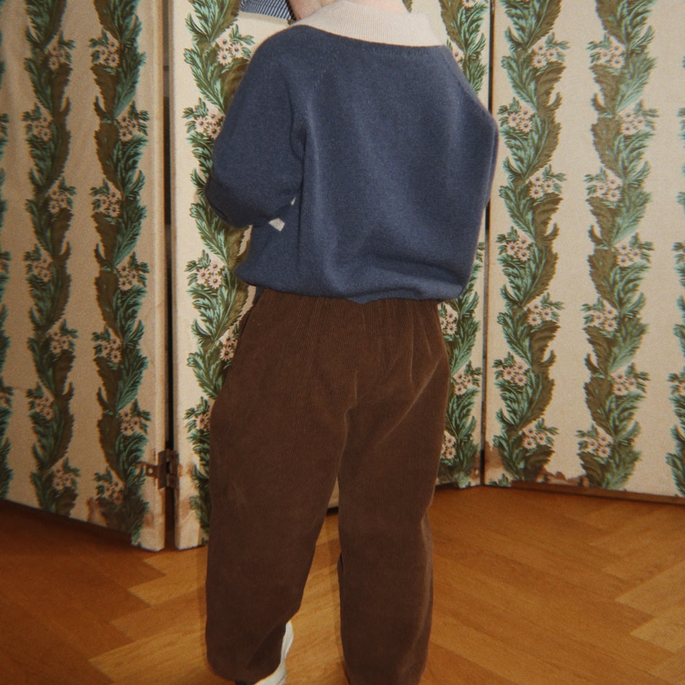Bild i diabild