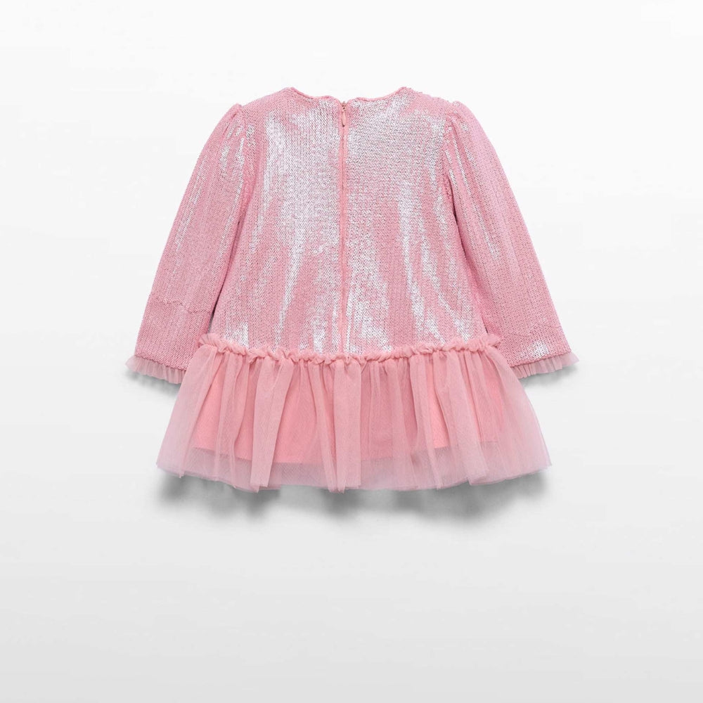 Bild i diabild
