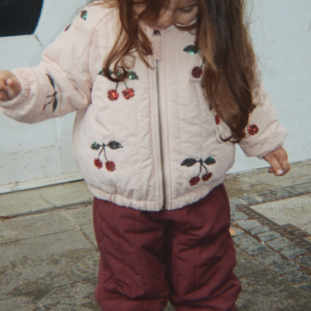 Bild i diabild