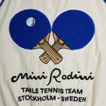 Bild i diabild