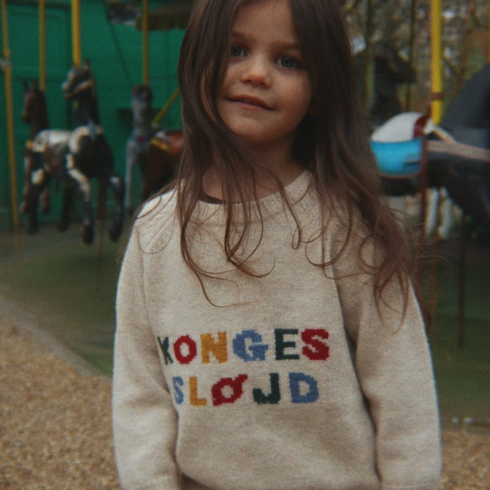 Bild i diabild