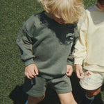 Bild i diabild