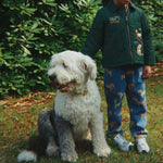 a7d96e1efe2876678778373c3a6b3fbc