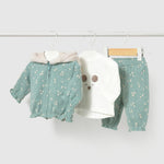 Bild i diabild