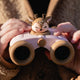 The ZooFamily barnkikare Zoo Eyes Hjort