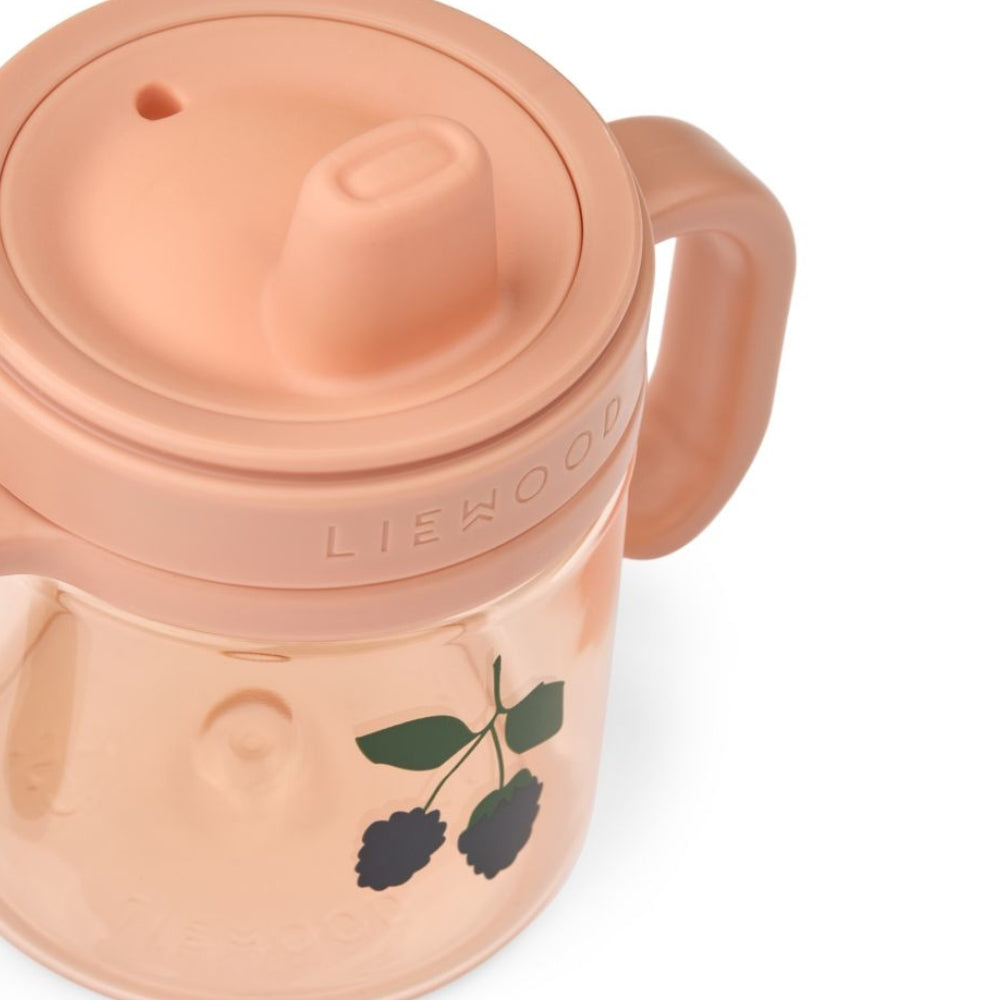 Bild i diabild