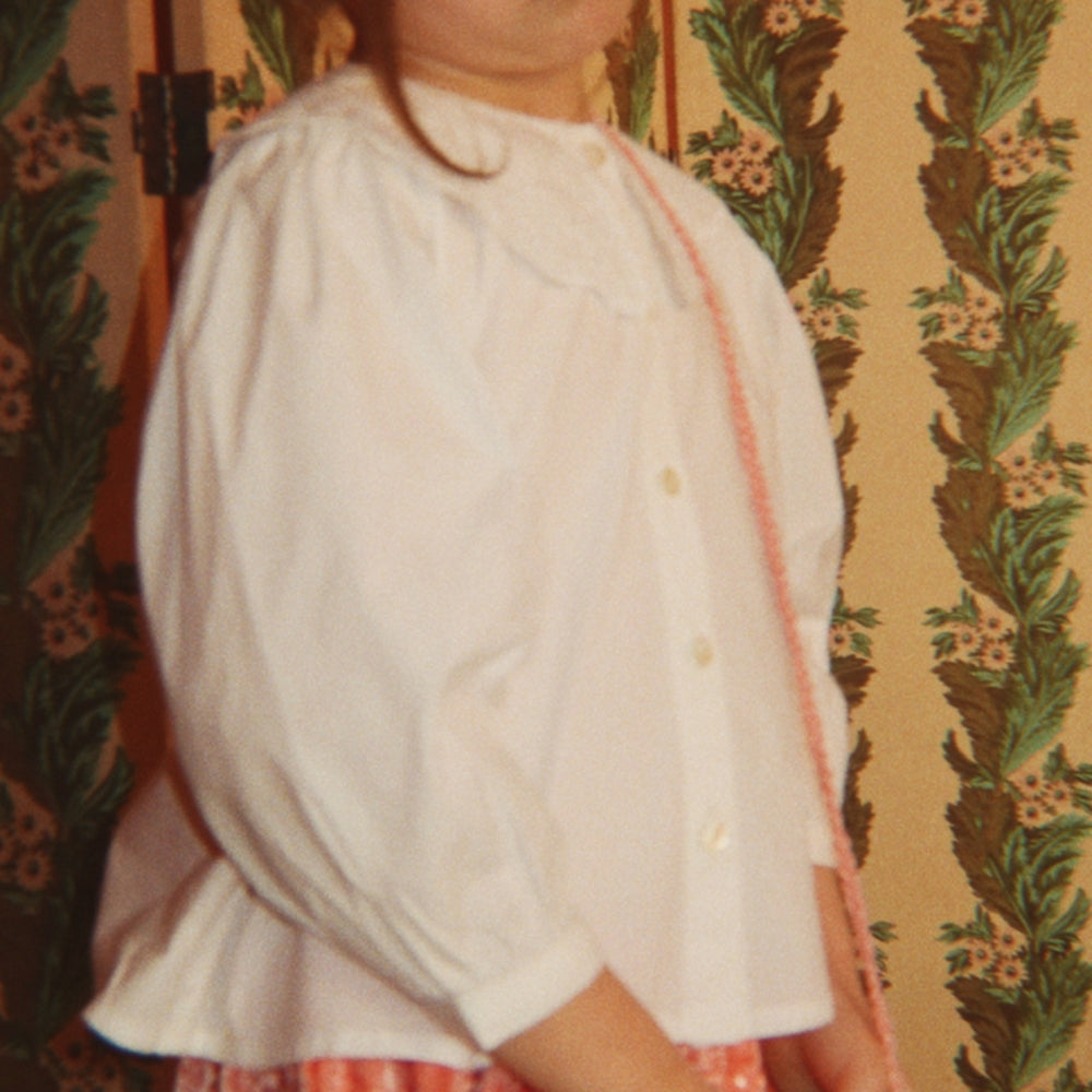 Bild i diabild