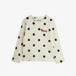Bild i diabild