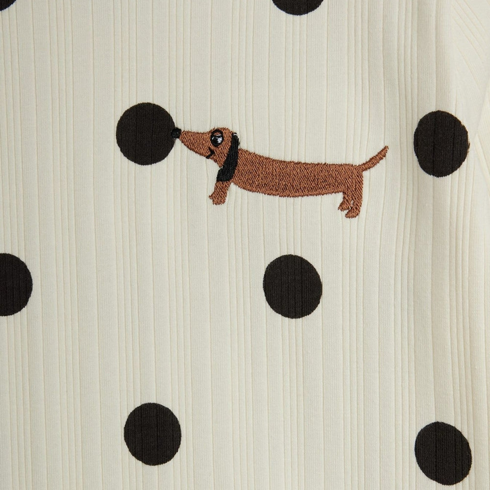 Bild i diabild