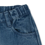 Bild i diabild