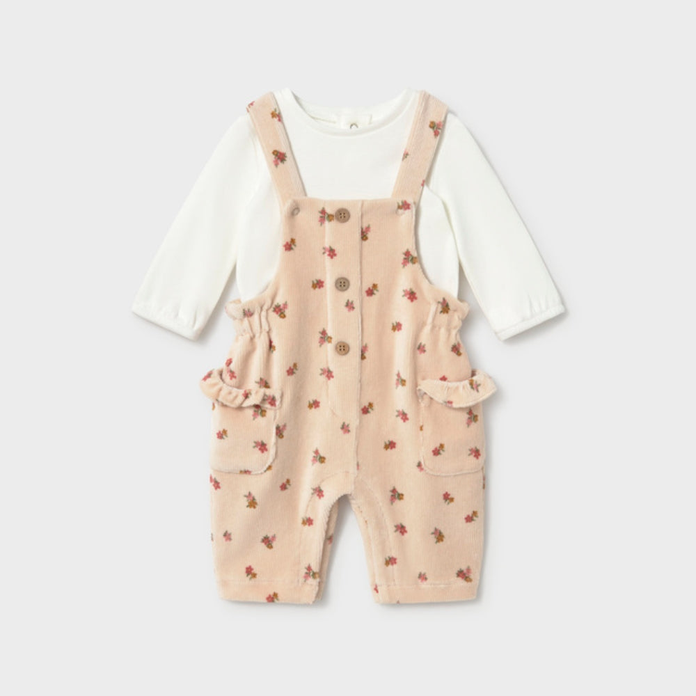 Bild i diabild