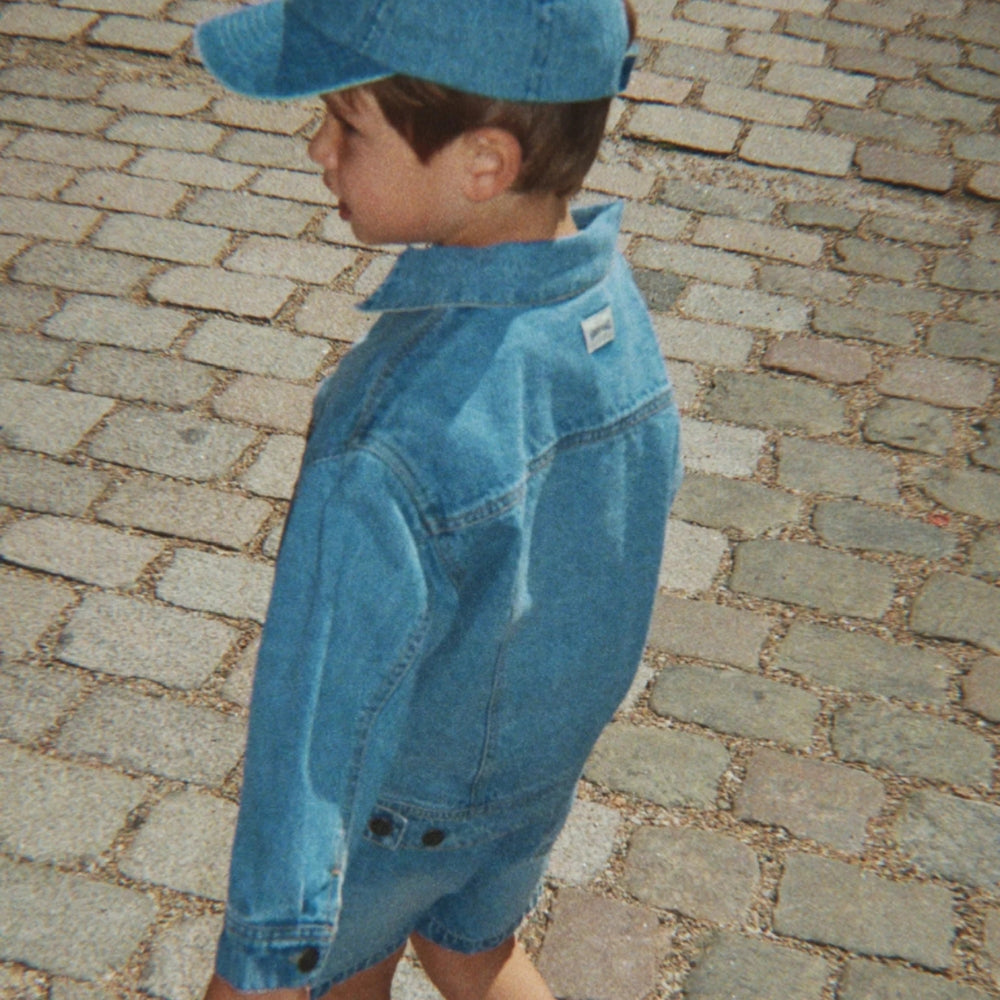 Bild i diabild