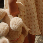 4111f651abd8183e7778f6e6d731cf9d