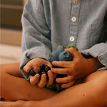 adcf31e17581cdbfceb69b41eacdd965