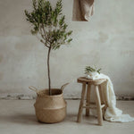 338d56e9ebe75d16c4fdf443fe367abe