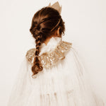 Bild i diabild