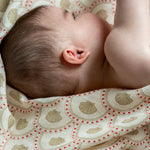 6fe84dabe94416d6f8f7d75609d96395