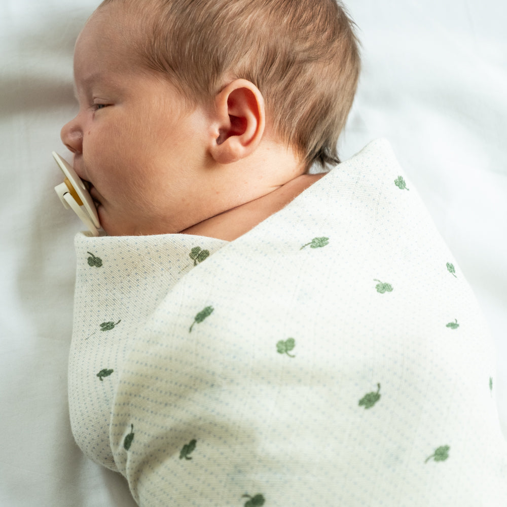 cc555c09e289eb41cd1be8dbed86ae8e