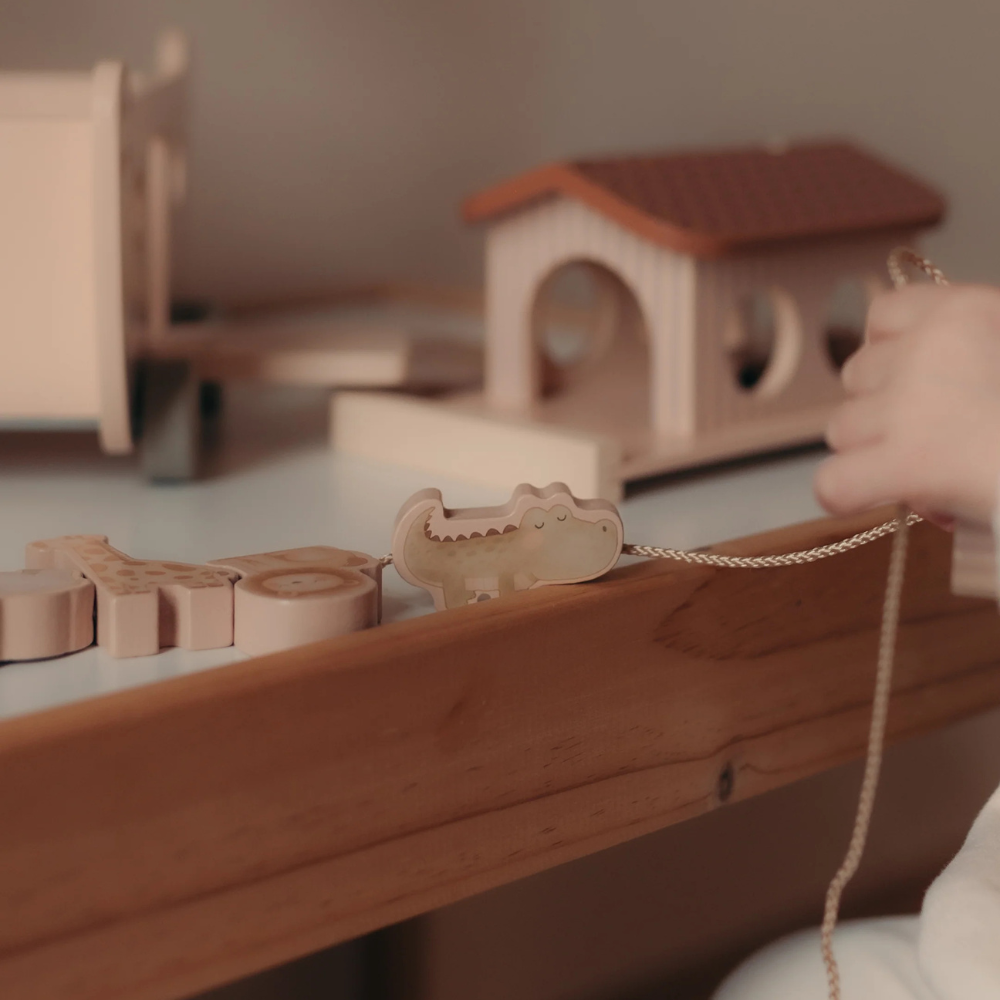 66c5a611dddede8d97ae3b45049e882f