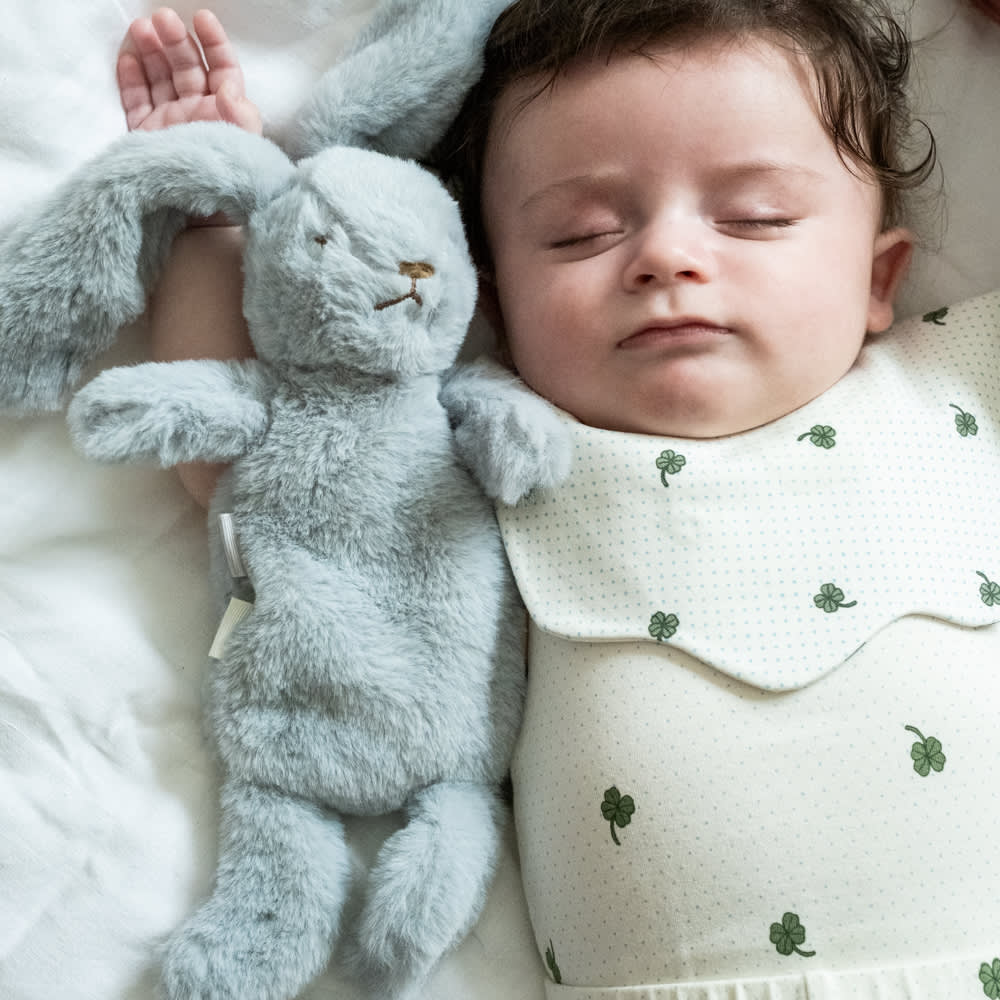 20806f89cc3bef57f13613e3aad54423