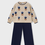 Bild i diabild