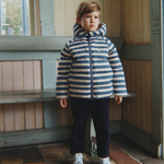 Bild i diabild