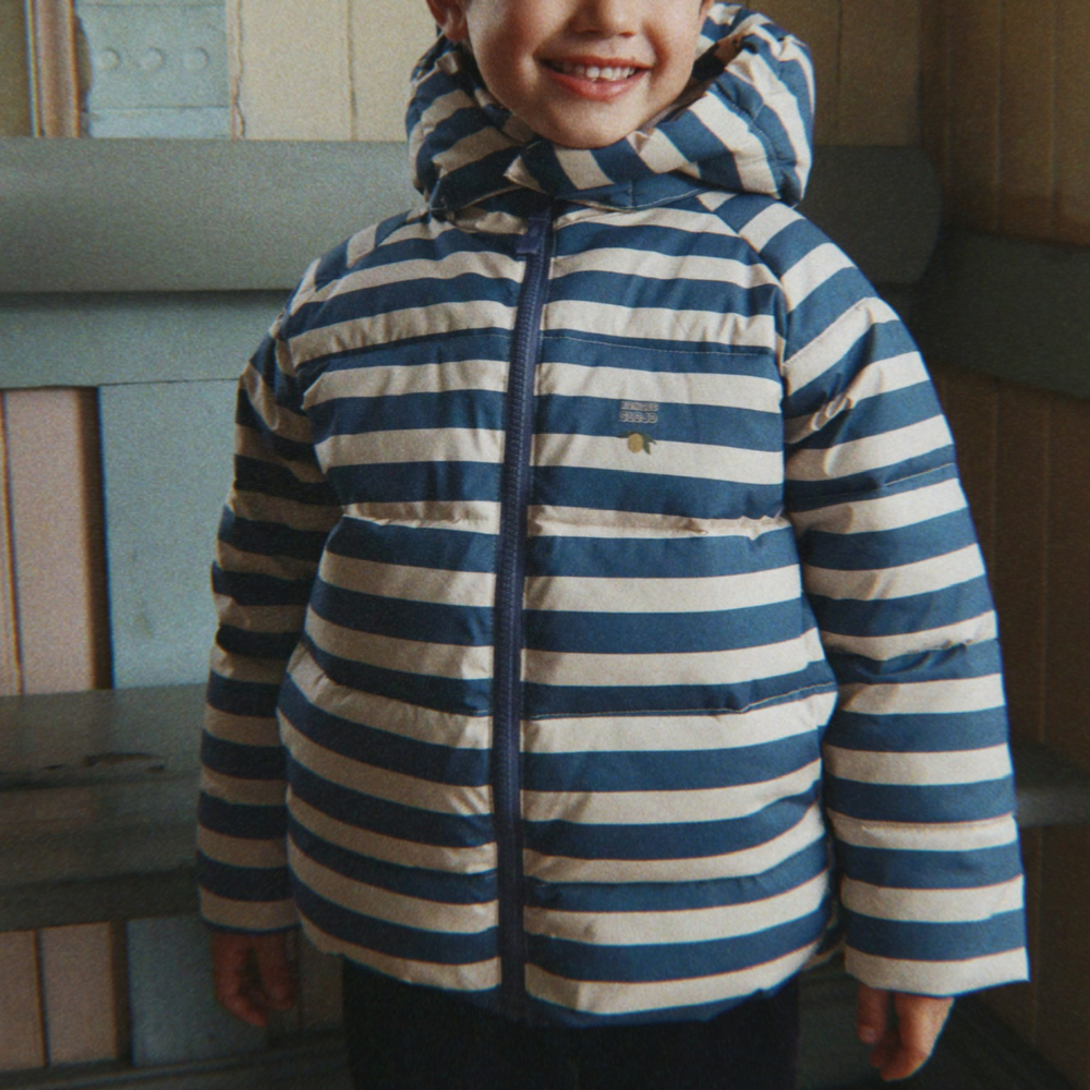 Bild i diabild