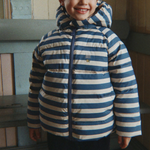 Bild i diabild