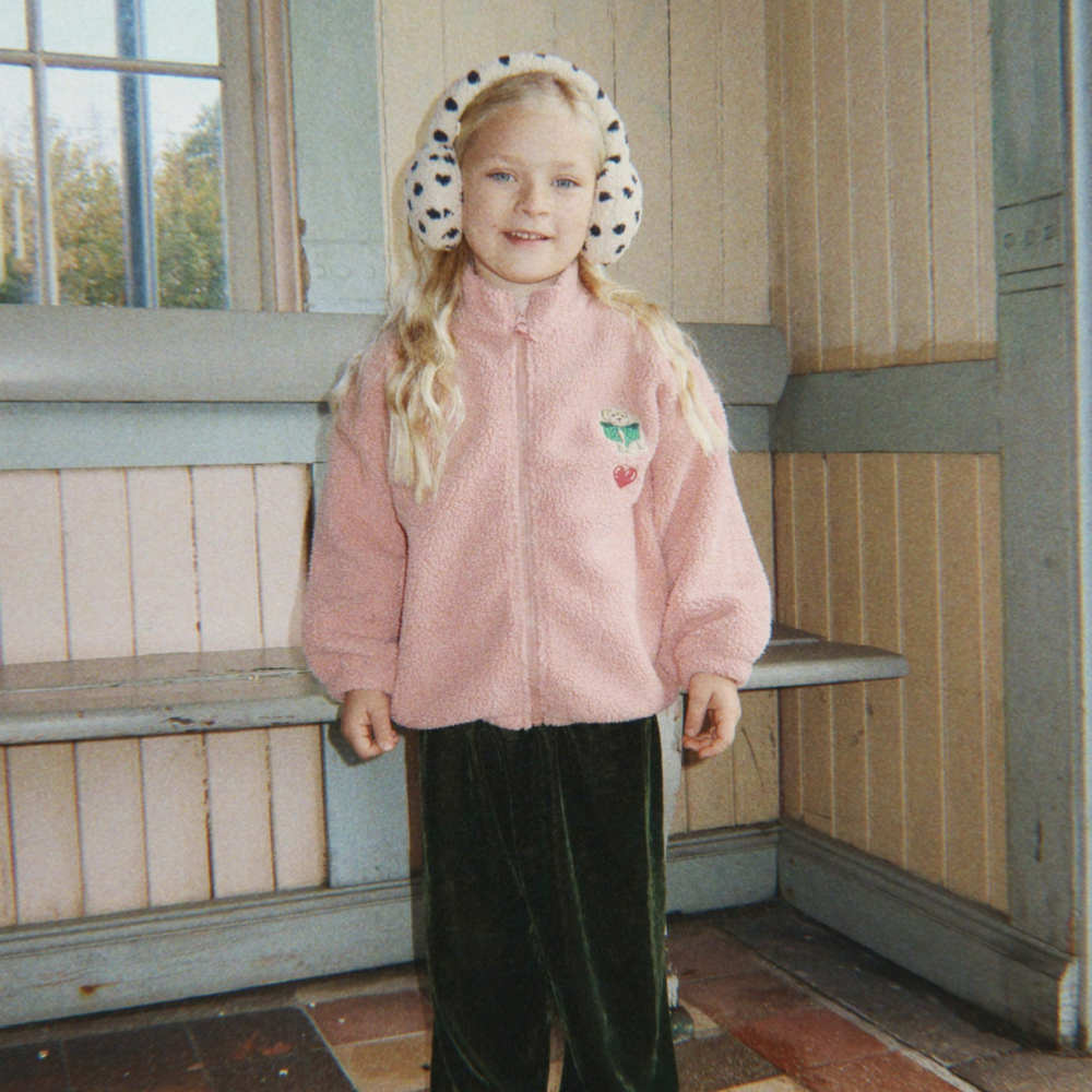 Bild i diabild