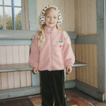 Bild i diabild